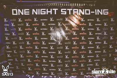 ONE NIGHT STAND-ING PARTY — photo 2