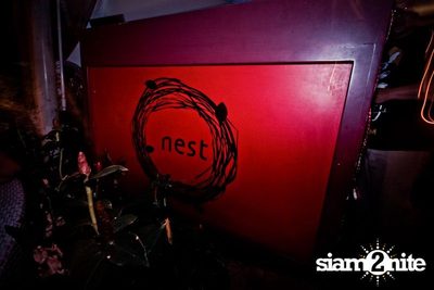 Thursday Live — photo 59