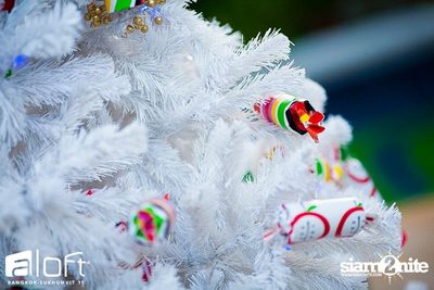 Christmas Pool Party — photo 30