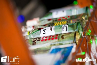 Christmas Pool Party — photo 9