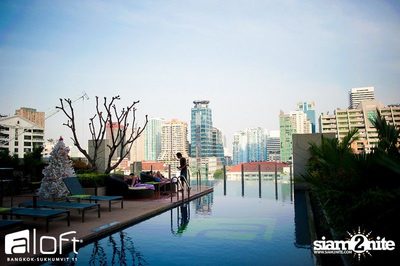 Christmas Pool Party — photo 25