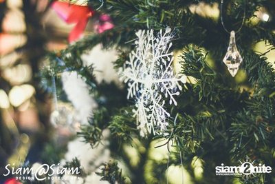 The Miracle of Christmas — photo 117