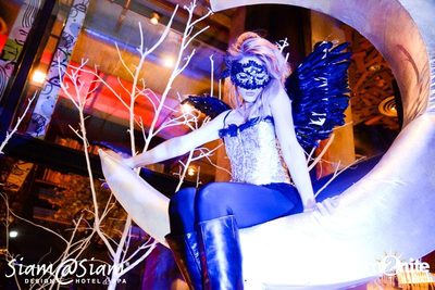 New Year's Eve - The Fortress In The Forest — photo 95