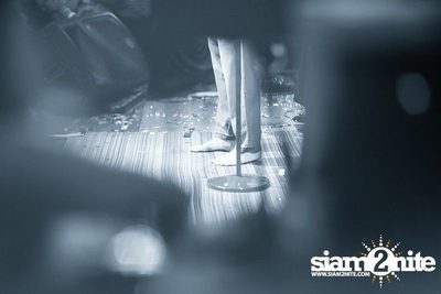 4th Anniversary & Palmy Concert — photo 41