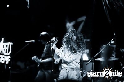 4th Anniversary & Palmy Concert — photo 71