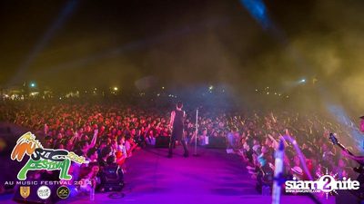 AU Music Festival 2014 (Album 1) — photo 244