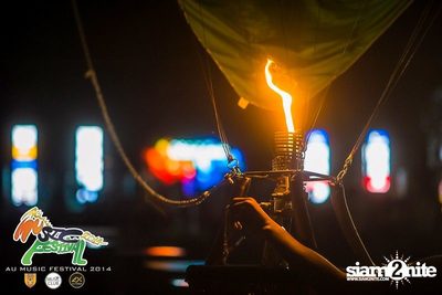 AU Music Festival 2014 (Album 1) — photo 14