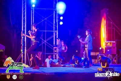 AU Music Festival 2014 (Album 1) — photo 149
