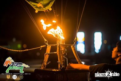AU Music Festival 2014 (Album 1) — photo 13