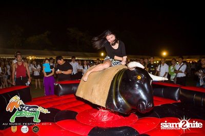 AU Music Festival 2014 (Album 1) — photo 36