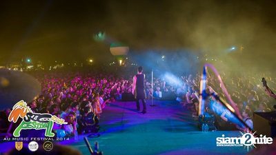 AU Music Festival 2014 (Album 1) — photo 243