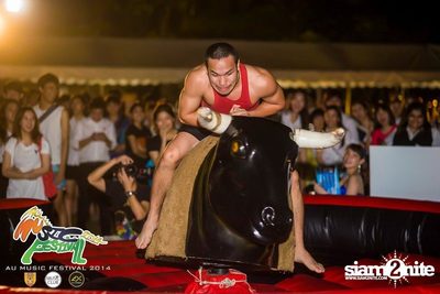 AU Music Festival 2014 (Album 1) — photo 39