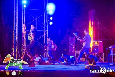 AU Music Festival 2014 (Album 1) — photo 148