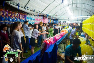 AU Music Festival 2014 (Album 1) — photo 56
