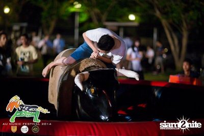 AU Music Festival 2014 (Album 2) — photo 51