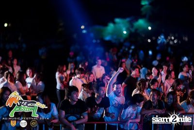 AU Music Festival 2014 (Album 2) — photo 39