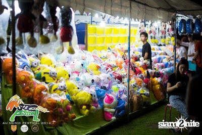 AU Music Festival 2014 (Album 2) — photo 53