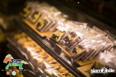 AU Music Festival 2014 (Album 2) — photo 54