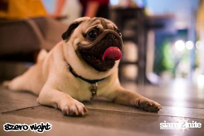 8zeronight x Bling Kitchen pres. Ribs & HipHop — photo 85