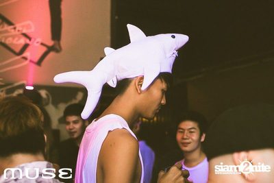 Hawaiian Night — photo 115