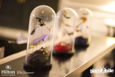 Speakeasy Fridays at Summit — photo 140