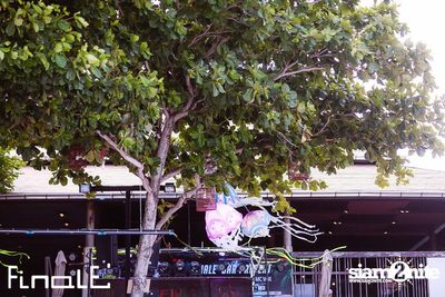 FINALE Beach Party ที่ ฟินาเล่ บาร์, เกาะเสม็ด — photo 22