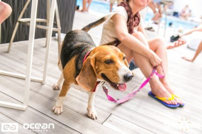Ocean Sunday Escape: Full Moon Edition — photo 88