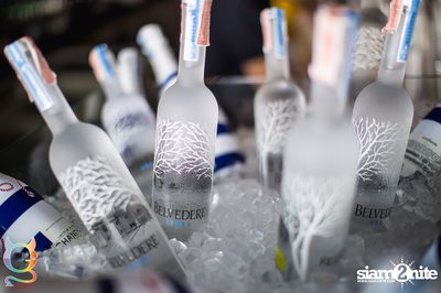 G Spot pres. Splash Out Pool Party — photo 82