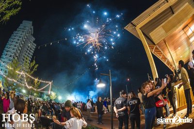 Countdown Celebration to 2015 — photo 266
