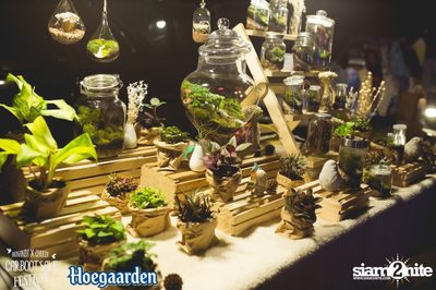 Bonanza x Cheeze Carbootsale Festival (Album 2) — photo 189