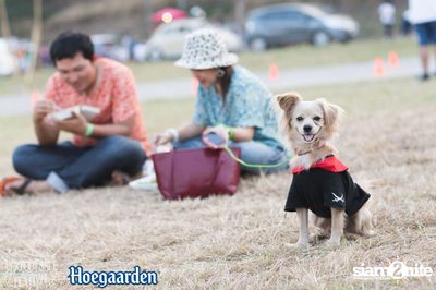 Bonanza x Cheeze Carbootsale Festival (Album 2) — photo 331
