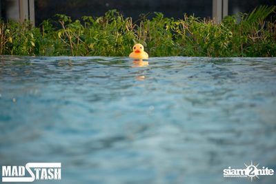 GET PHYSICAL POOL PARTY - Feel Me In Eden — photo 43