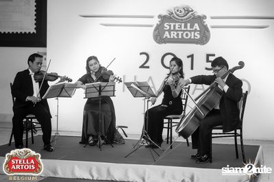 Stella Artois pres. The Masquerade Night (Album 1) — photo 51