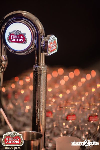Stella Artois pres. The Masquerade Night (Album 2) — photo 11