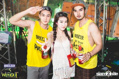 BREEZER presents Wipe Out 2015 (Album 1) — photo 1
