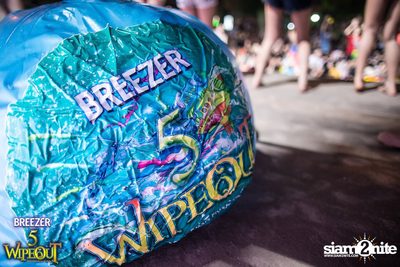 BREEZER presents Wipe Out 2015 (Album 2) — photo 11