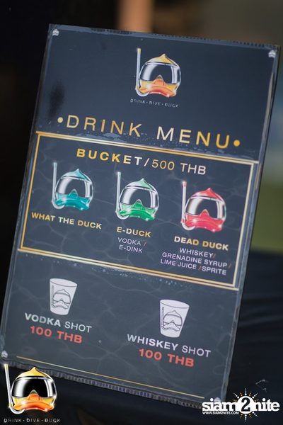 Drink Dive Duck - Bikini Pool Party 2015 at A-ONE HOTEL — photo 2