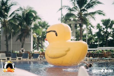 Drink Dive Duck - Bikini Pool Party 2015 (Album 1) — photo 10