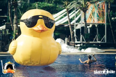 Drink Dive Duck - Bikini Pool Party 2015 (Album 1) — photo 2