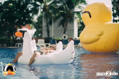 Drink Dive Duck - Bikini Pool Party 2015 (Album 1) — photo 13