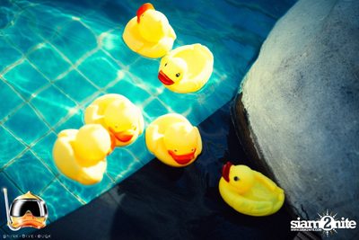 Drink Dive Duck - Bikini Pool Party 2015 (Album 1) — photo 20