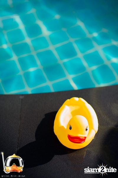 Drink Dive Duck - Bikini Pool Party 2015 (Album 2) — photo 35