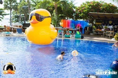 Drink Dive Duck - Bikini Pool Party 2015 (Album 2) — photo 6