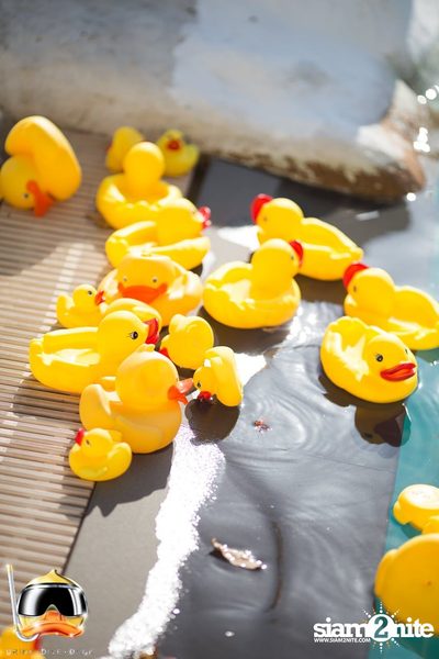 Drink Dive Duck - Bikini Pool Party 2015 (Album 2) — photo 22