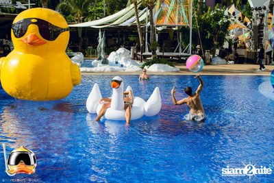 Drink Dive Duck - Bikini Pool Party 2015 (Album 2) — photo 7