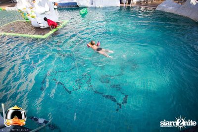 Drink Dive Duck - Bikini Pool Party 2015 (Album 2) — photo 77