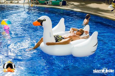 Drink Dive Duck - Bikini Pool Party 2015 (Album 2) — photo 9