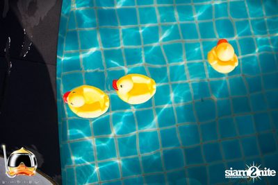Drink Dive Duck - Bikini Pool Party 2015 (Album 2) — photo 27