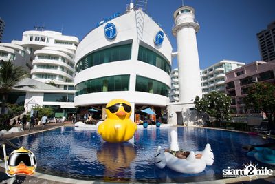 Drink Dive Duck - Bikini Pool Party 2015 (Album 2) — photo 29