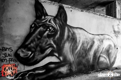Meeting Of Styles (MOS) กราฟฟิตี้เฟสติวัล ที่เชียงใหม่ 2558 — photo 261